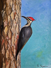 Woodpecker